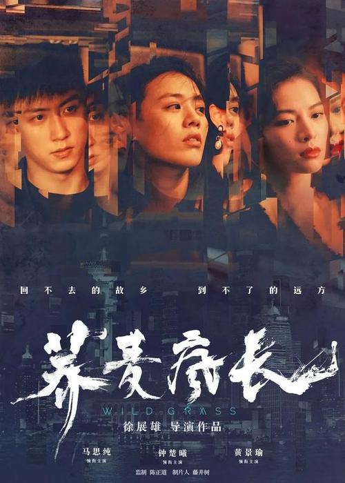 制作美国 Directv 公用事业账单